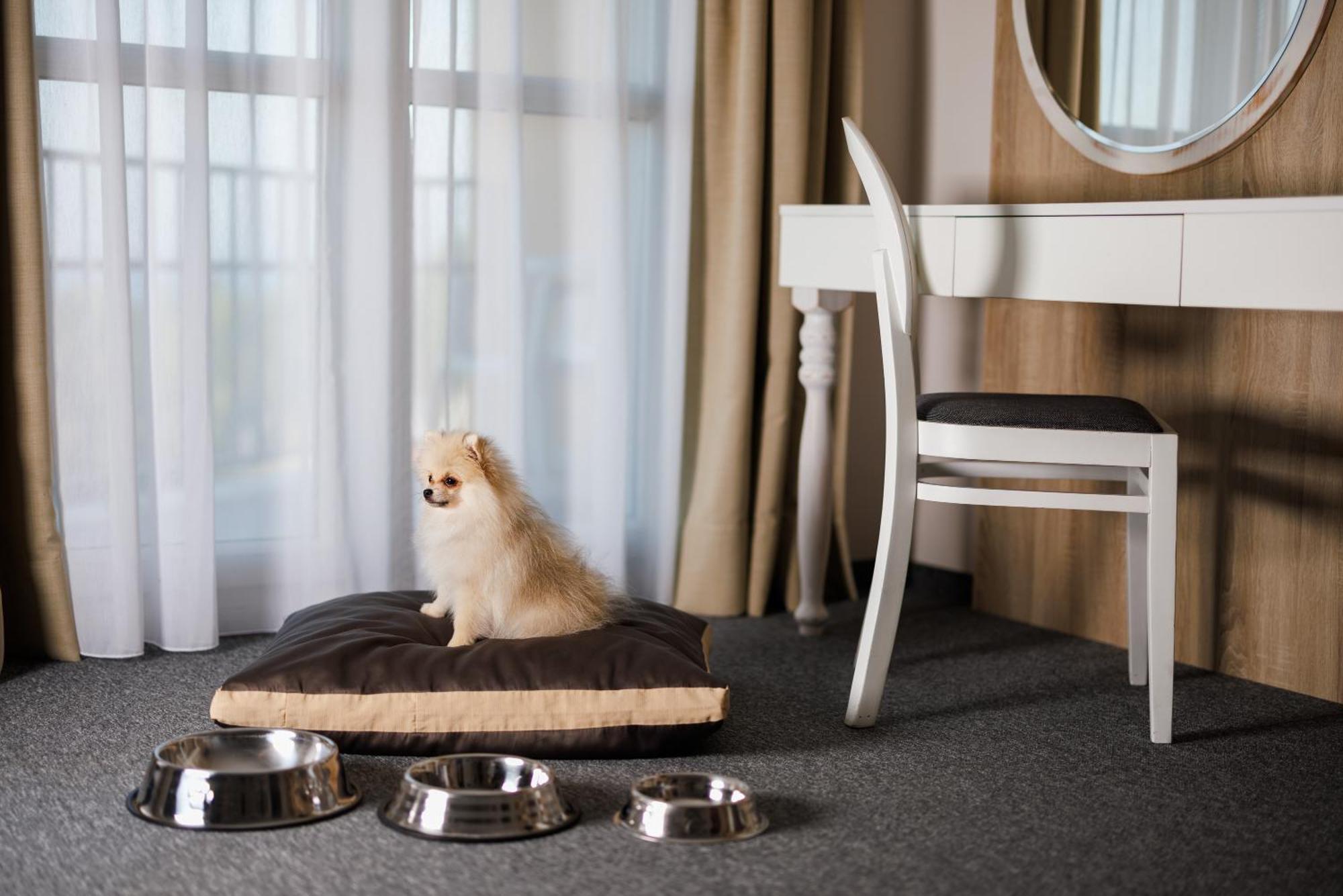 Hotel Mirna - Terme & Wellness Lifeclass Portorož Dış mekan fotoğraf
